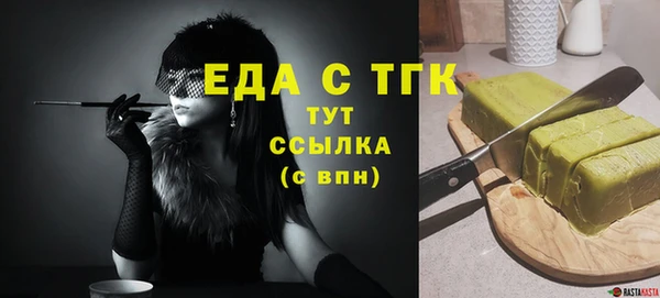 индика Верхний Тагил